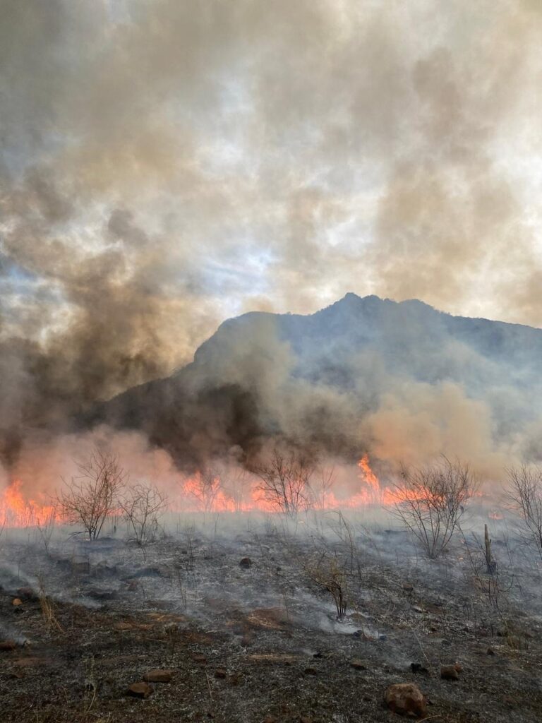Incendio en Choix