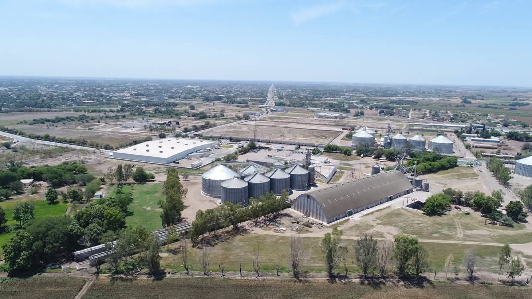 AARSP abre sus centros de acopio para recibir maíz en Guasave
