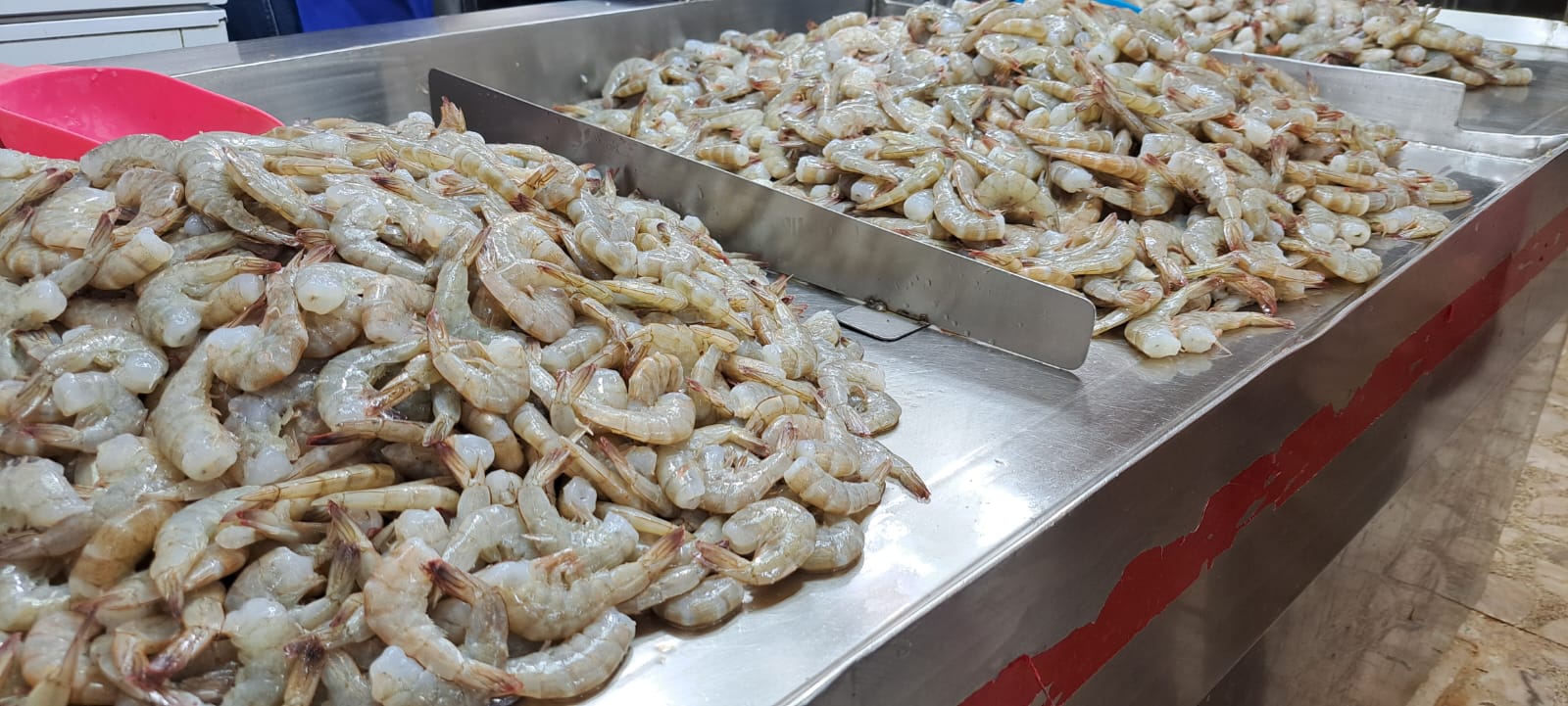 Acuicultores se preparan para la primera cosecha del año