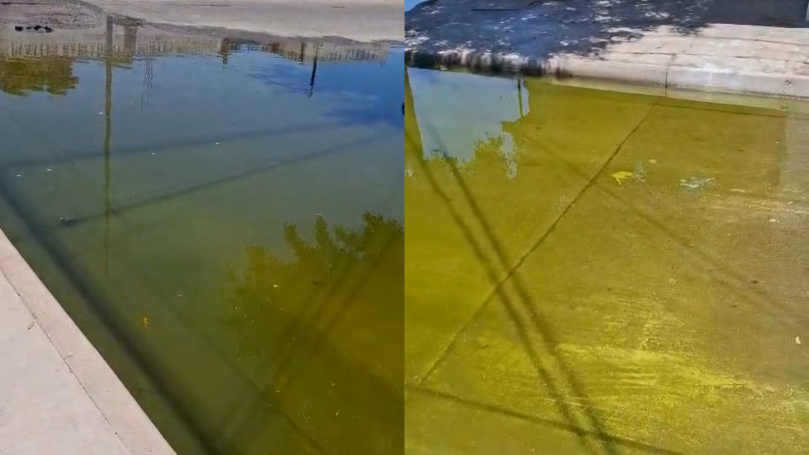 Casi 8 meses con aguas negras