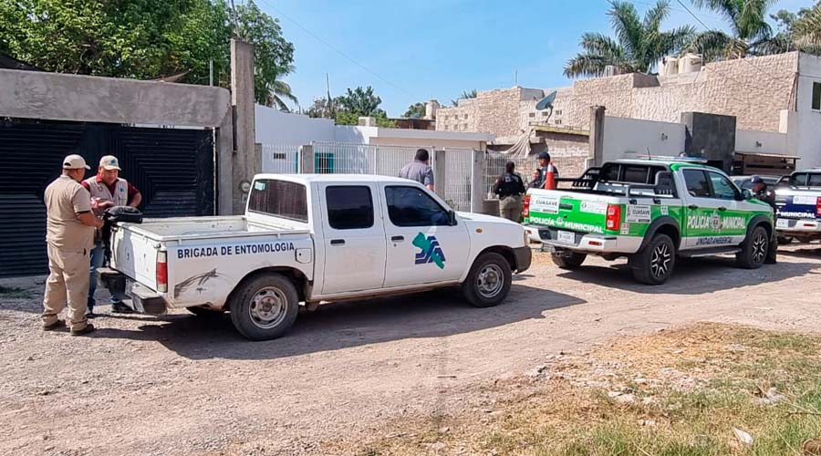 Analizan muestras garrapatas Guasave