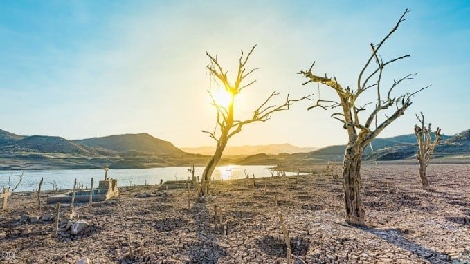 Así retrata Eden Dusk el panteón Terahuito en Bacurato, un grito a la conciencia