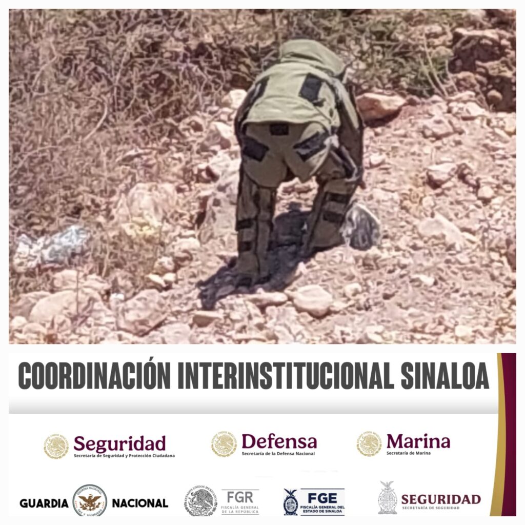 Autoridades destruyen explosivos y contenedores en Cosalá