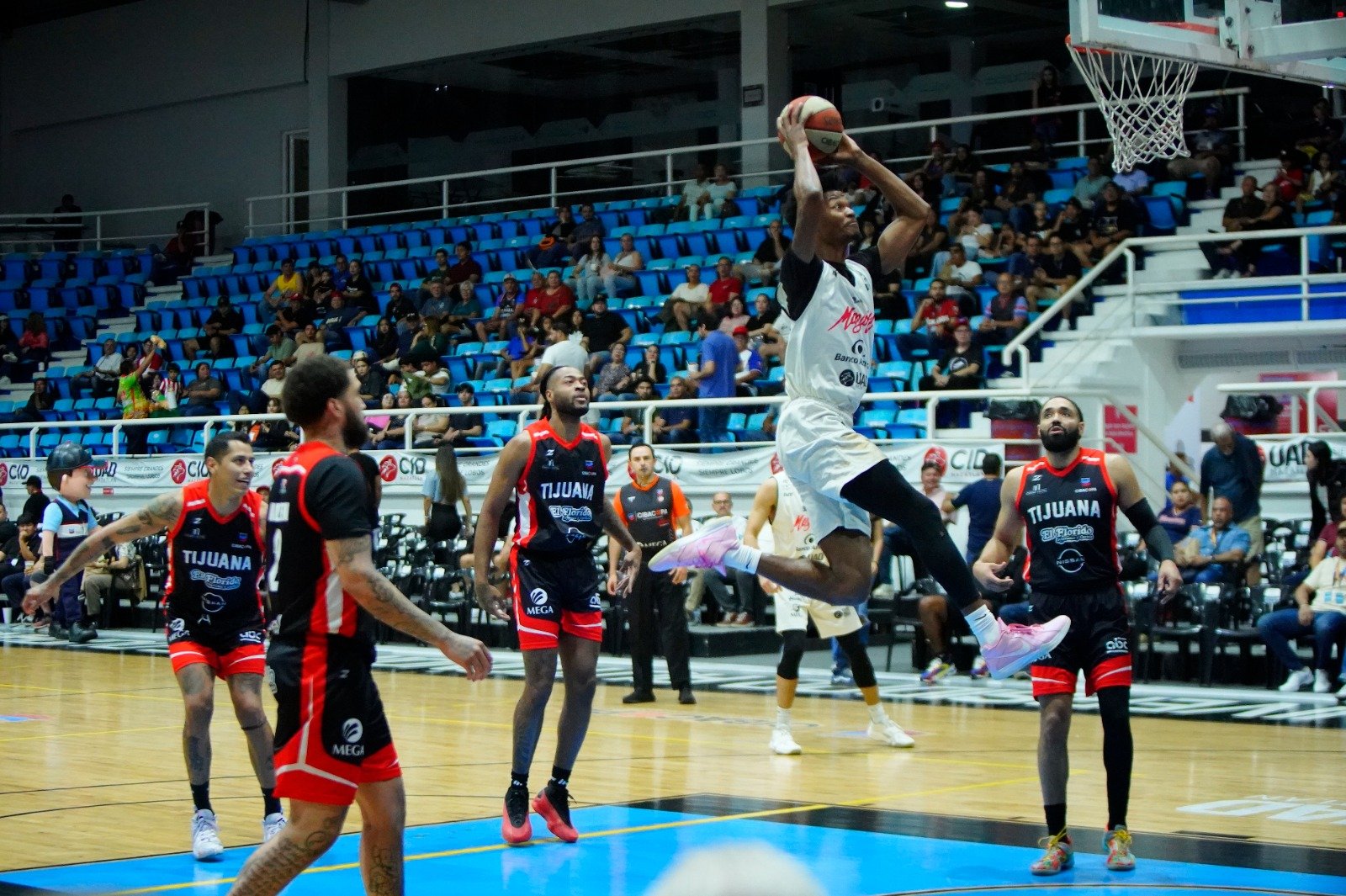 BASKET