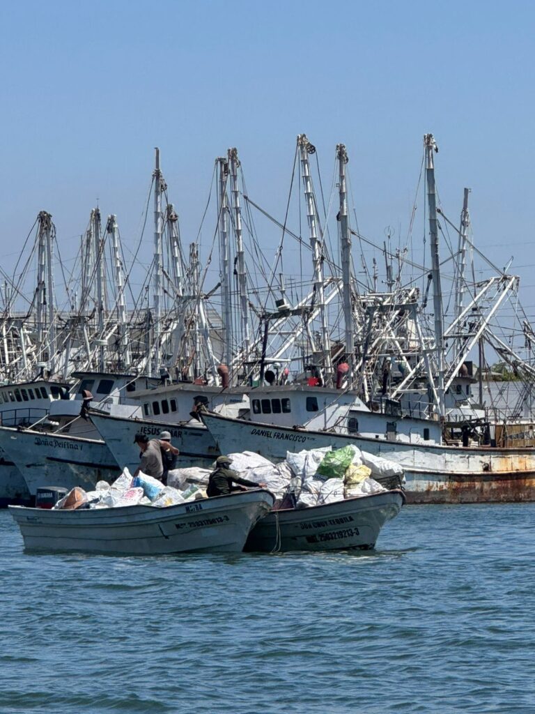colectivo Isla Basura