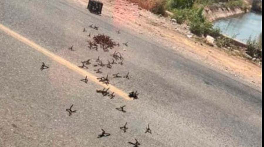 Supuestos ponchallantas en Estación Bamoa