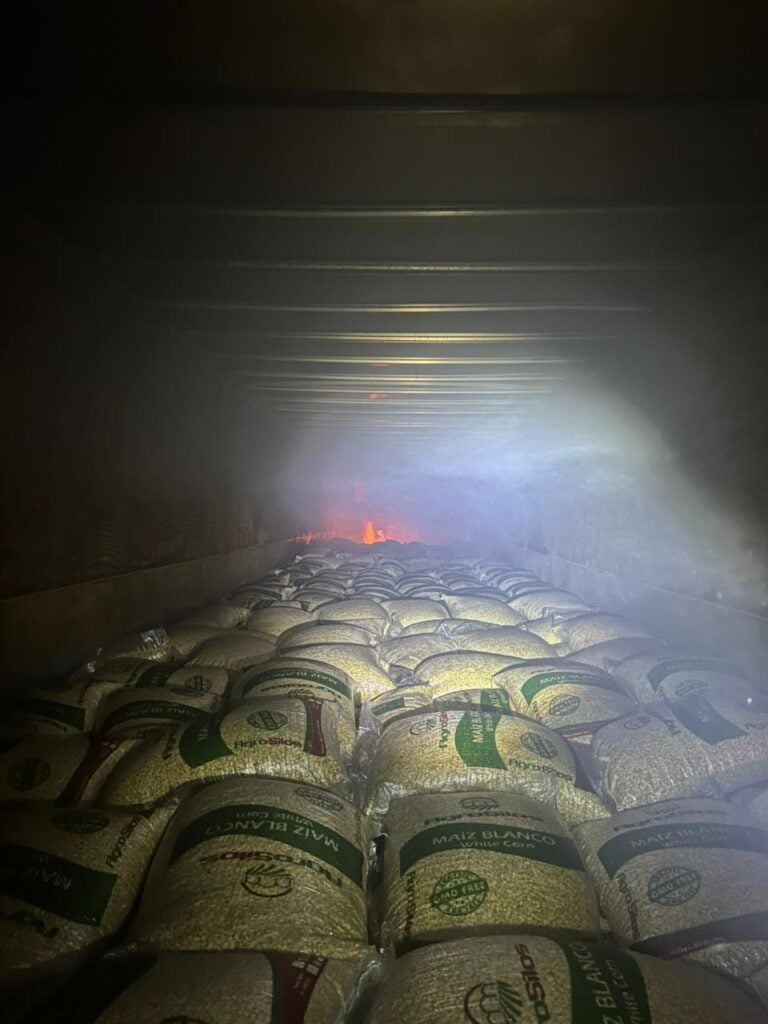 Maíz que cargaba el tráiler despojado e incendiado.