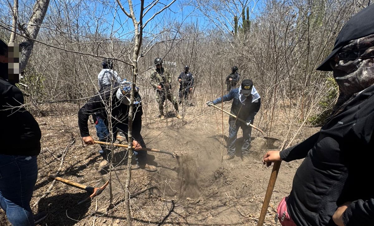 Búsqueda Osamenta Mazatlán