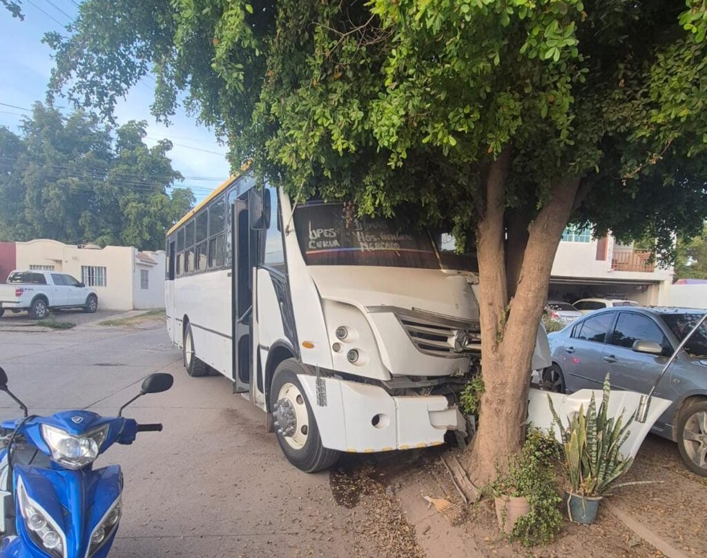 Camión de transporte urbano con daños en la carrocería por el choque contra el árbol.