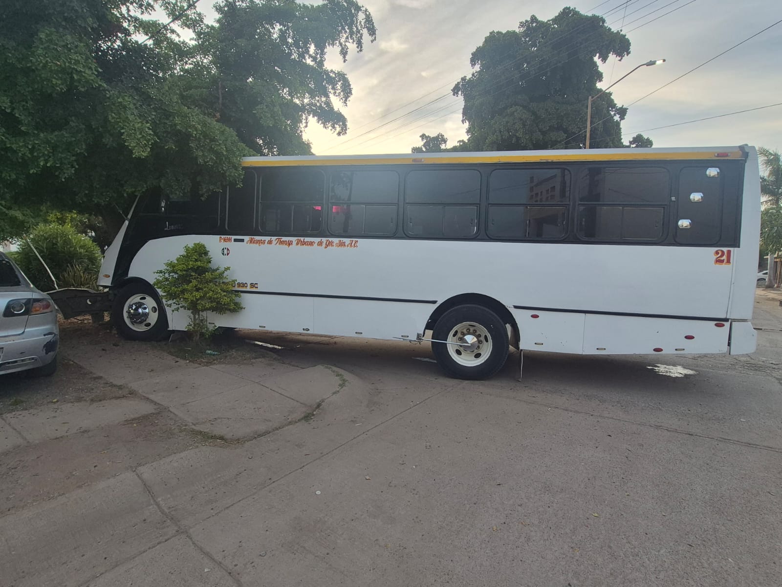 Camión de transporte urbano impactado contra un árbol en Guasave.
