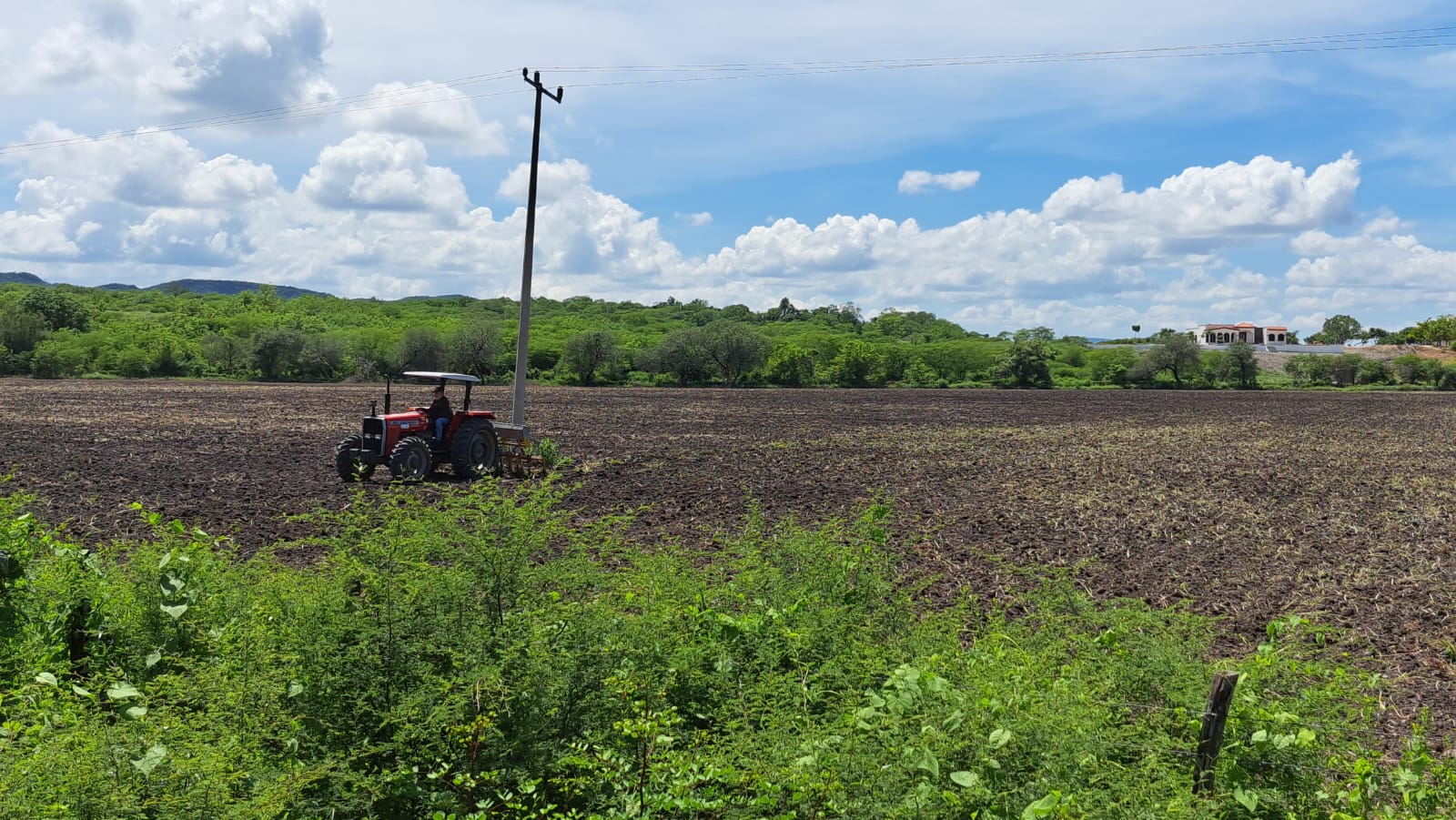 Tractor en un campo sinaloense.