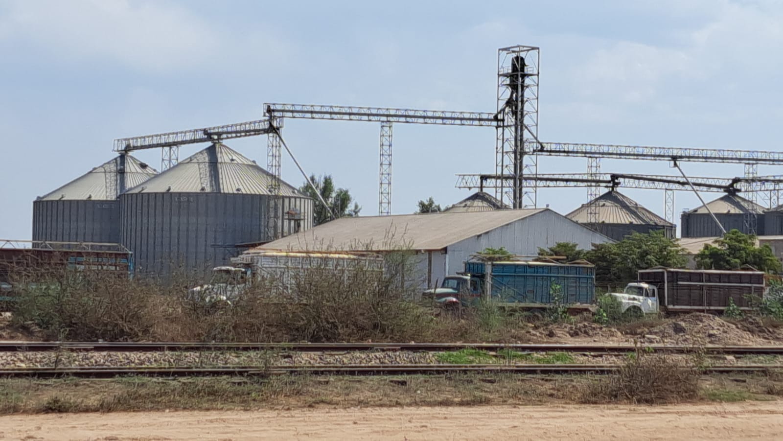 Comercializadora de granos