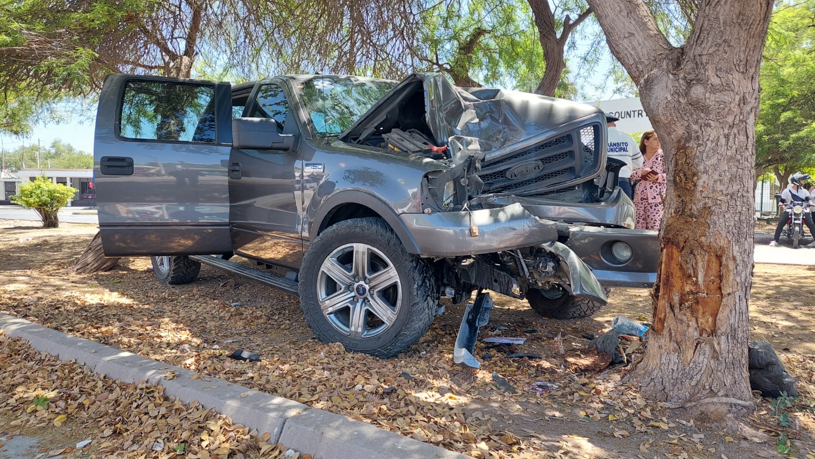 Conductor de camioneta se impacta contra un árbol por el bulevar Pedro Anaya en Los Mochis