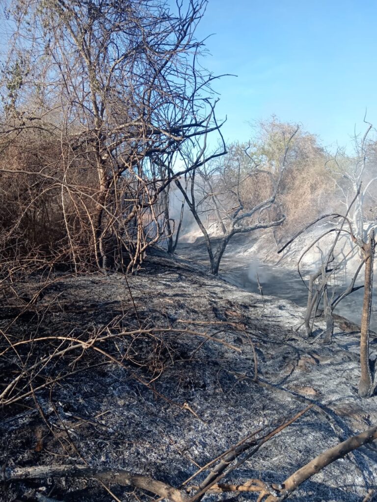 Confirman incendio de contenedores en bodega de supuesto “huachicol” cerca de Miravalles, Mazatlán