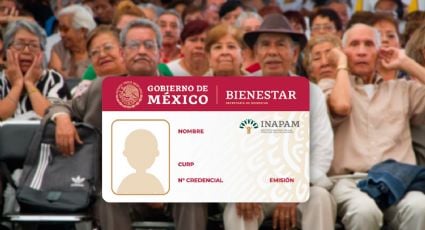 Credencial del Inapam