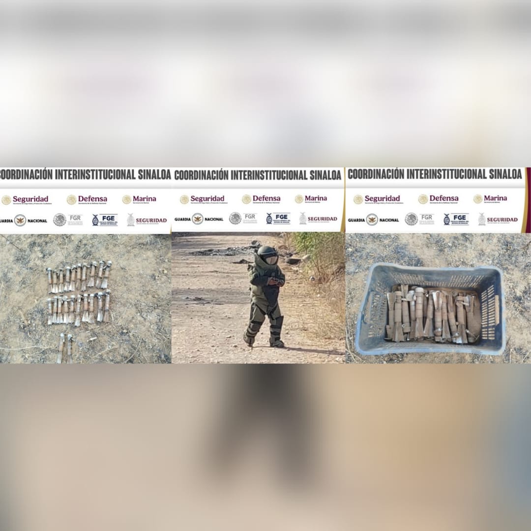 DECOMISO SINALOA INSEGURIDAD