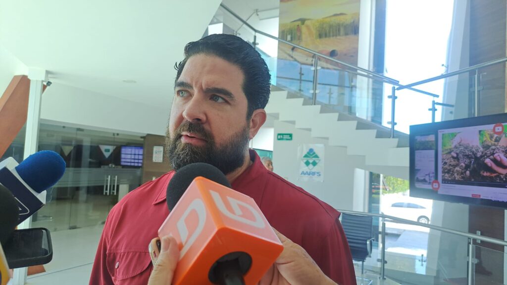 Daniel Ibarra Heredia, dirigente de los productores de mango en el norte de Sinaloa