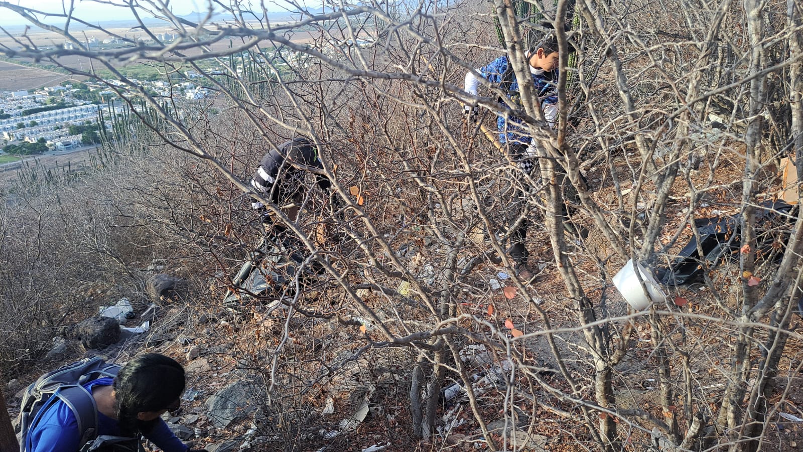 Deportistas recolectan basura en el Cerro de la Memoria