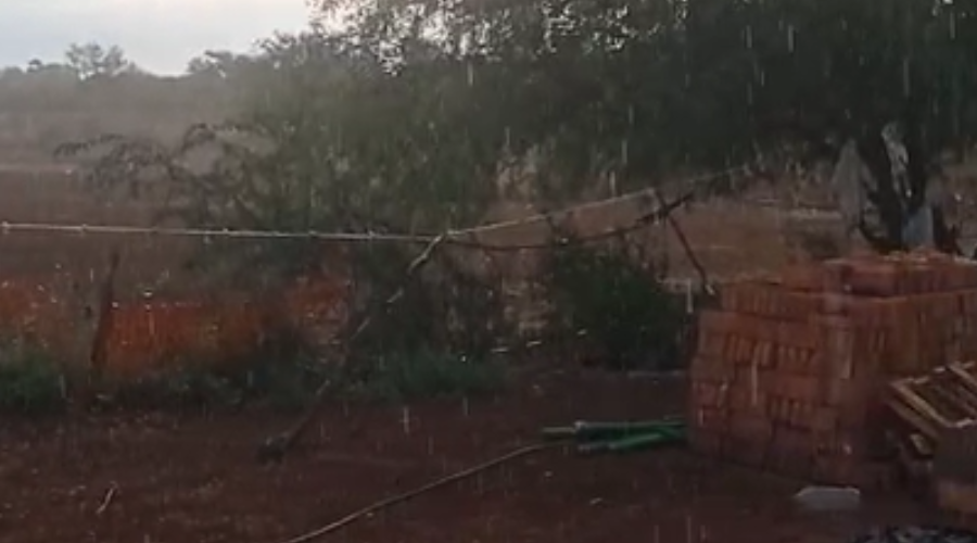 Lluvia en Mochicahui