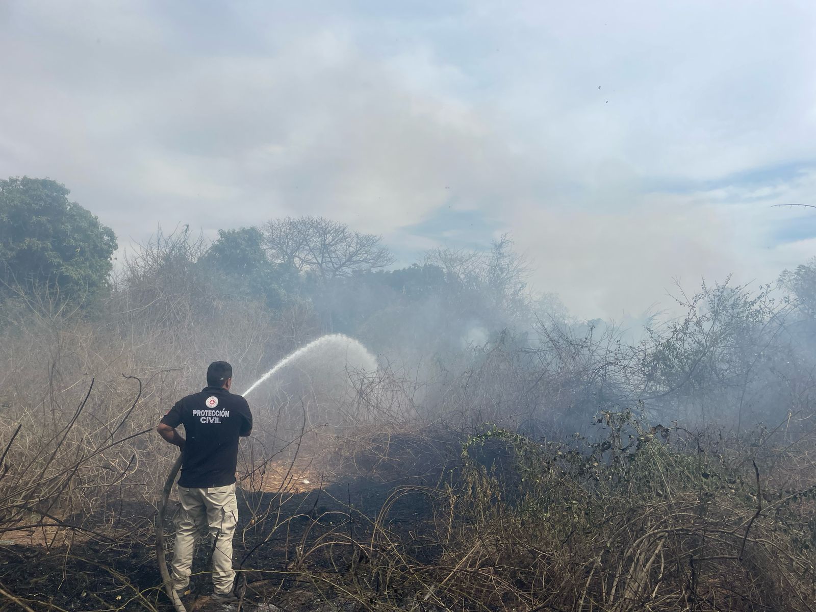 Elementos de PC y Bomberos logran controlar incendio de maleza en Concordia