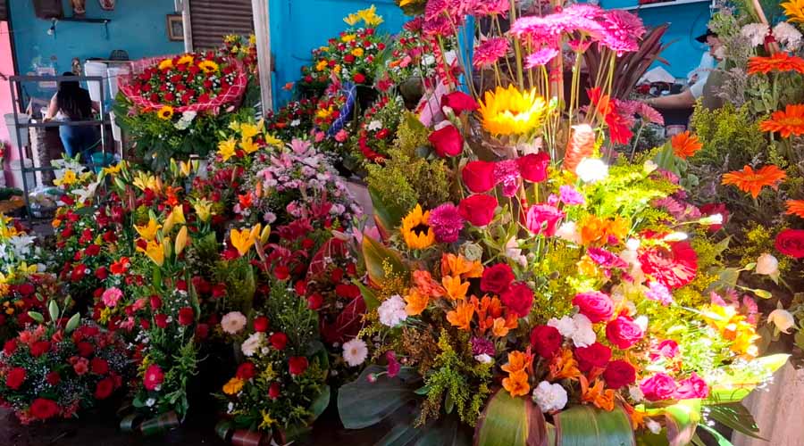 En mazatlán piden regalar flores