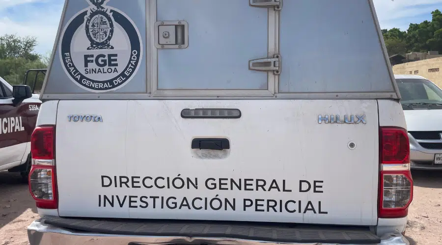 FGE 1