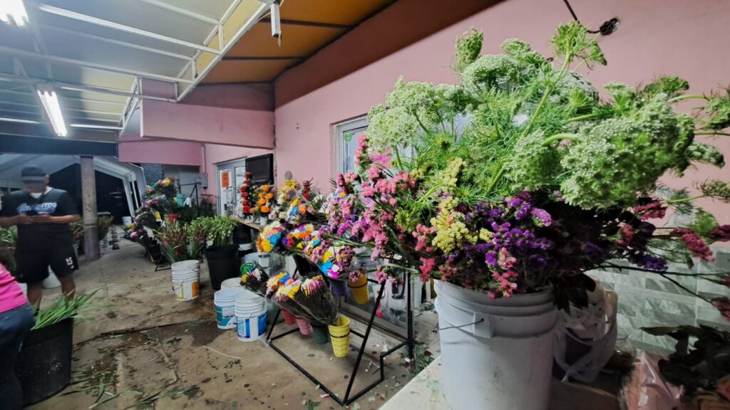 Variedad de flores a la venta.