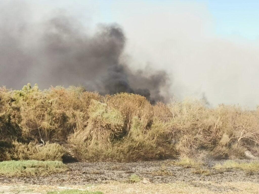 Fuerte incendio junto al Puente Negro moviliza a bomberos en Culiacán