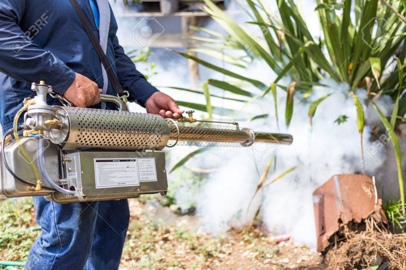 Fumigarán contra el mosco transmisor del dengue