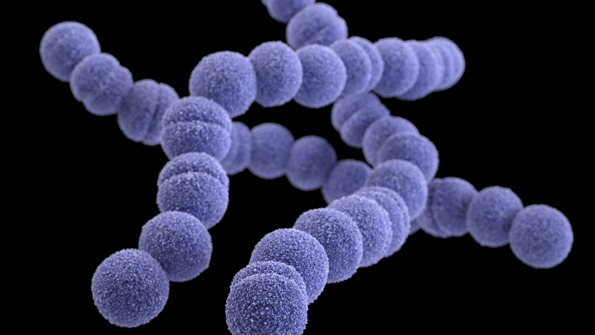 Autaridades sanitarias en alerta por incremento de bacteria letal en pacientes de EU