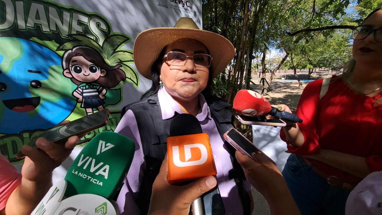 Hay más conciencia sobre el cuidado y la protección de la abeja