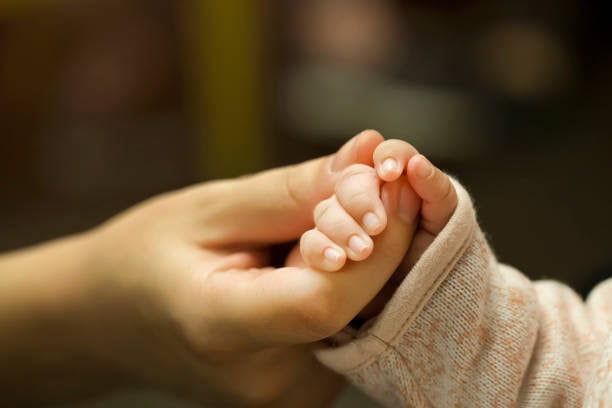 INEGI informó que en 2024 en Sinaloa se estima que hay 950 mil mujeres que son madres