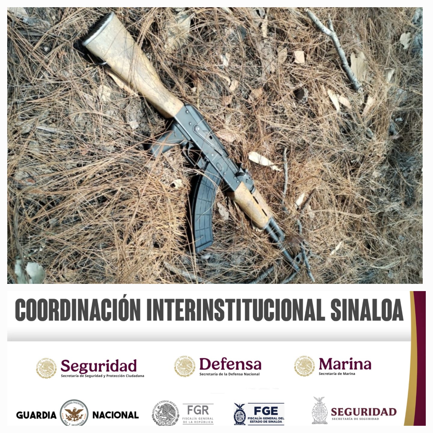 Armas y municiones son aseguradas en la zona serrana de Concordia por elementos de la Defensa