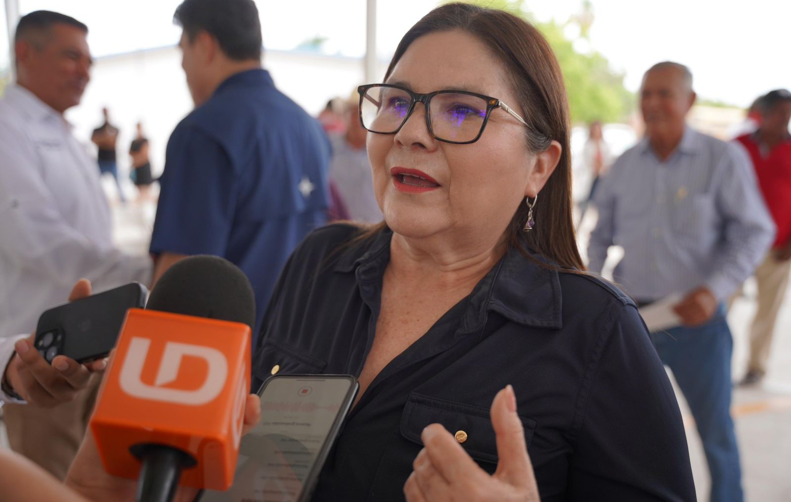 Imelda Castro, Senadora de Morena
