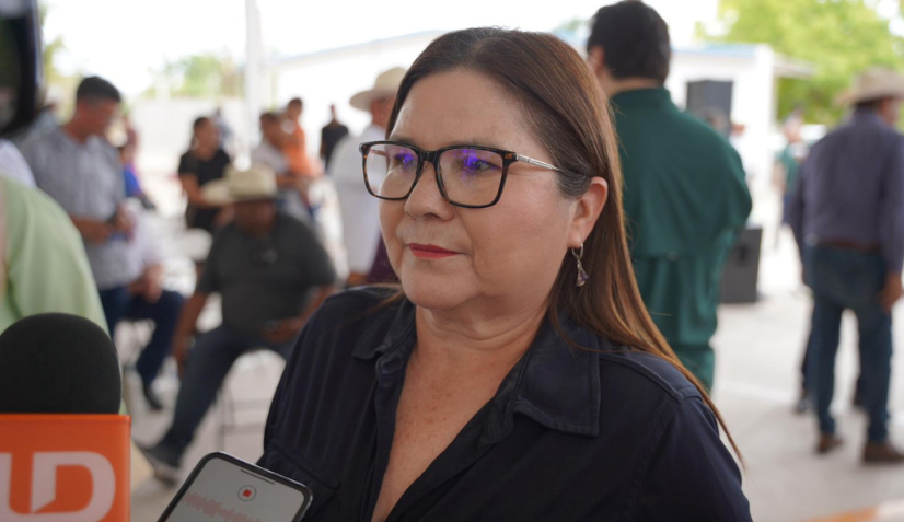 Imelda Castro, senadora de la República