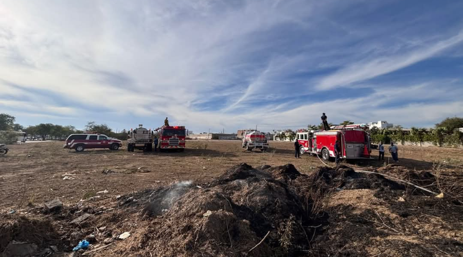 Incendio en un lote baldío