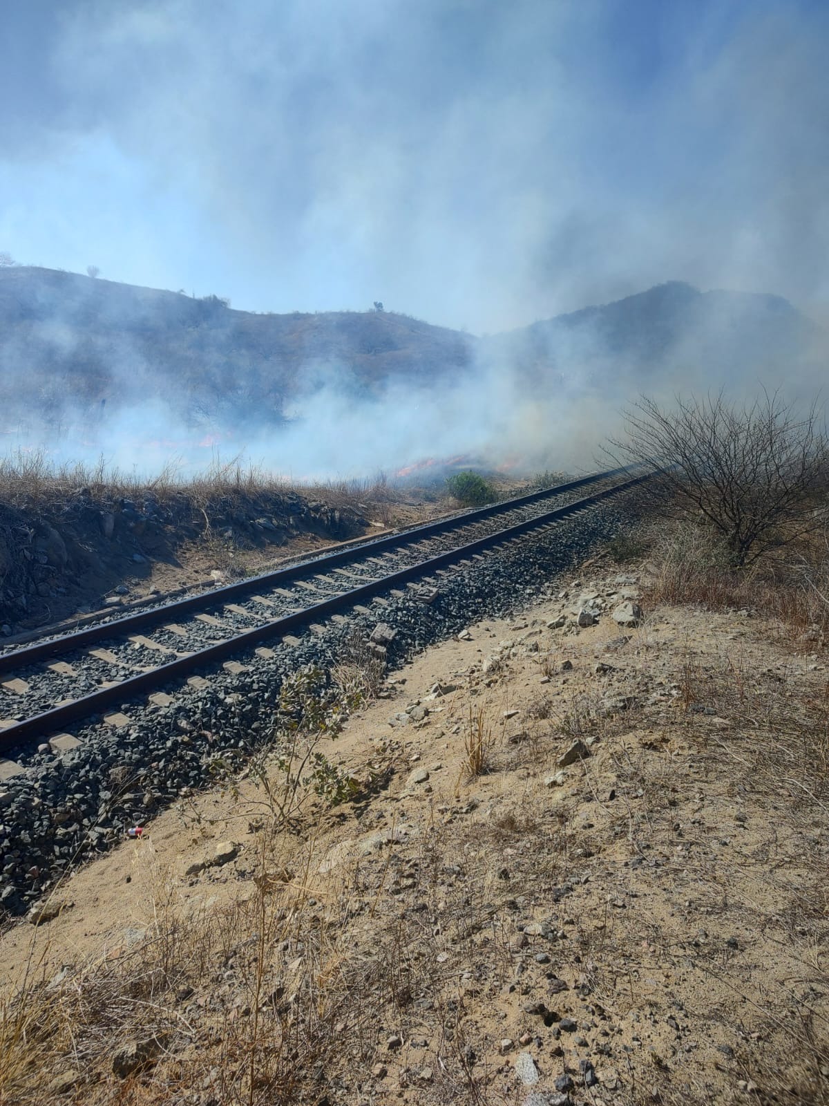 Incendios forestales en Choix dejando afectaciones.