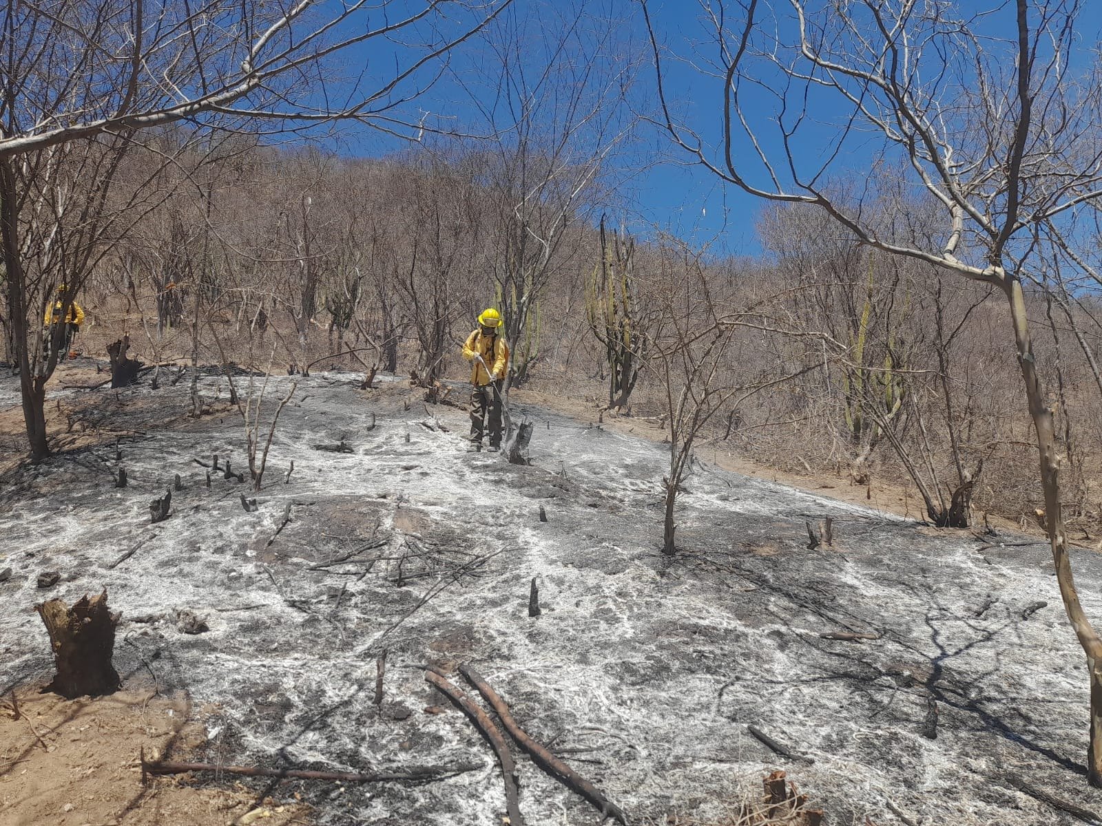 Personal de emergencia combatiendo uno de los incendios forestales en Choix.