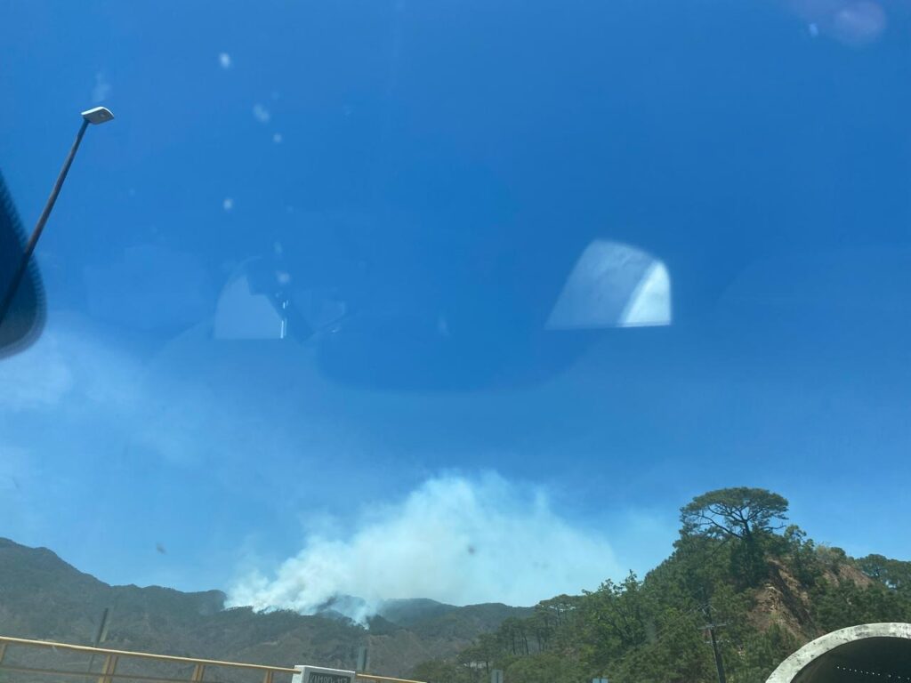 Incendio forestal activa a brigadistas comunitarios de Concordia
