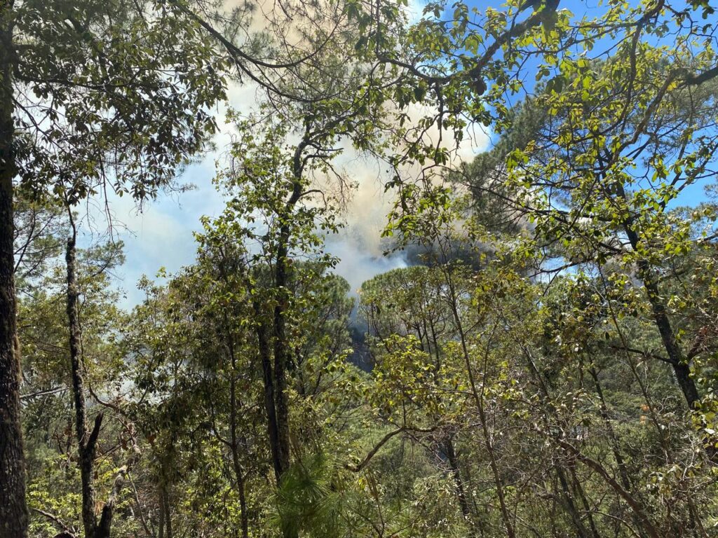Incendio forestal activa a brigadistas comunitarios de Concordia