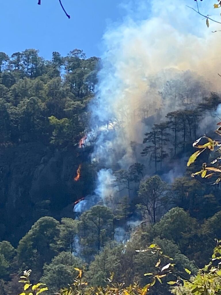 Incendio forestal activa a brigadistas comunitarios de Concordia