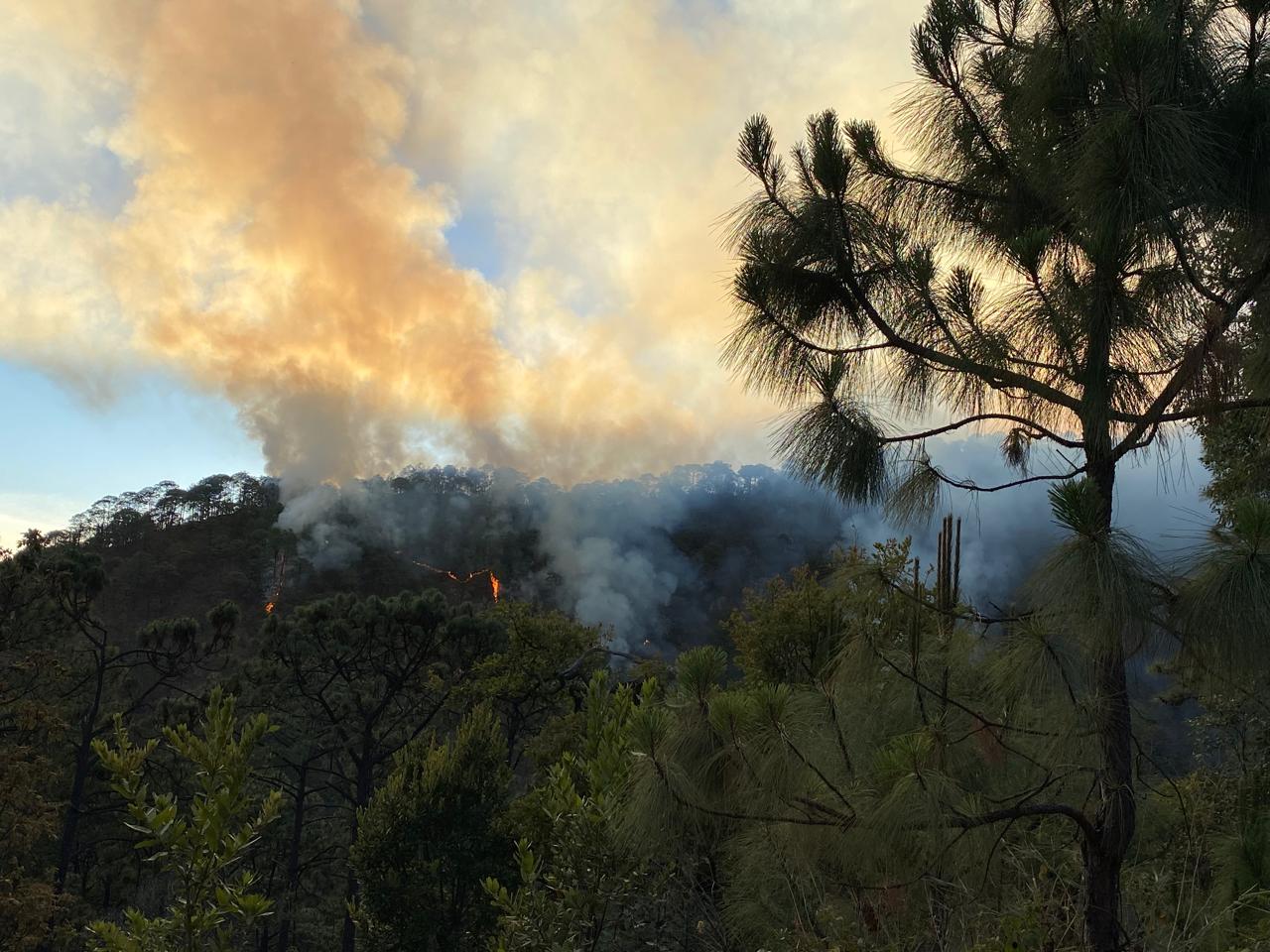 Incendio forestal activa a brigadistas comunitarios de Concordia