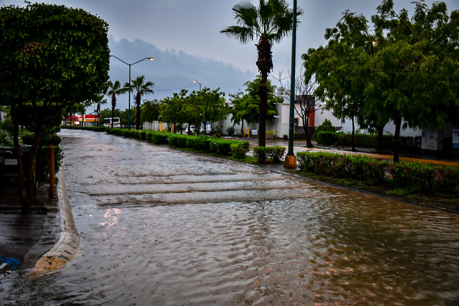 Hasta 85 colonias de Mazatlán en riesgo de inundación