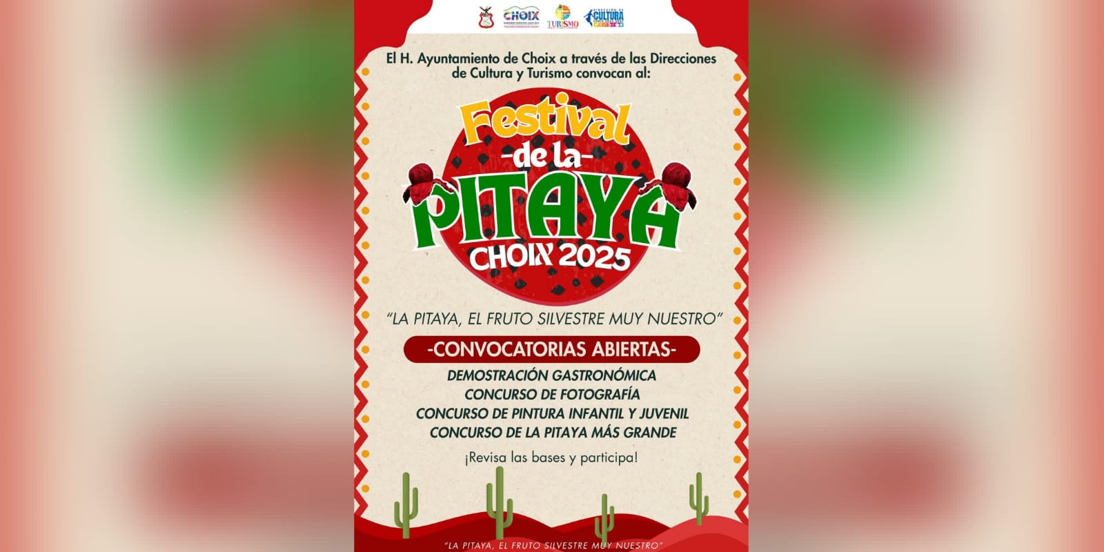 Invitan a participar en el tradicional Festival de la Pitaya 2025