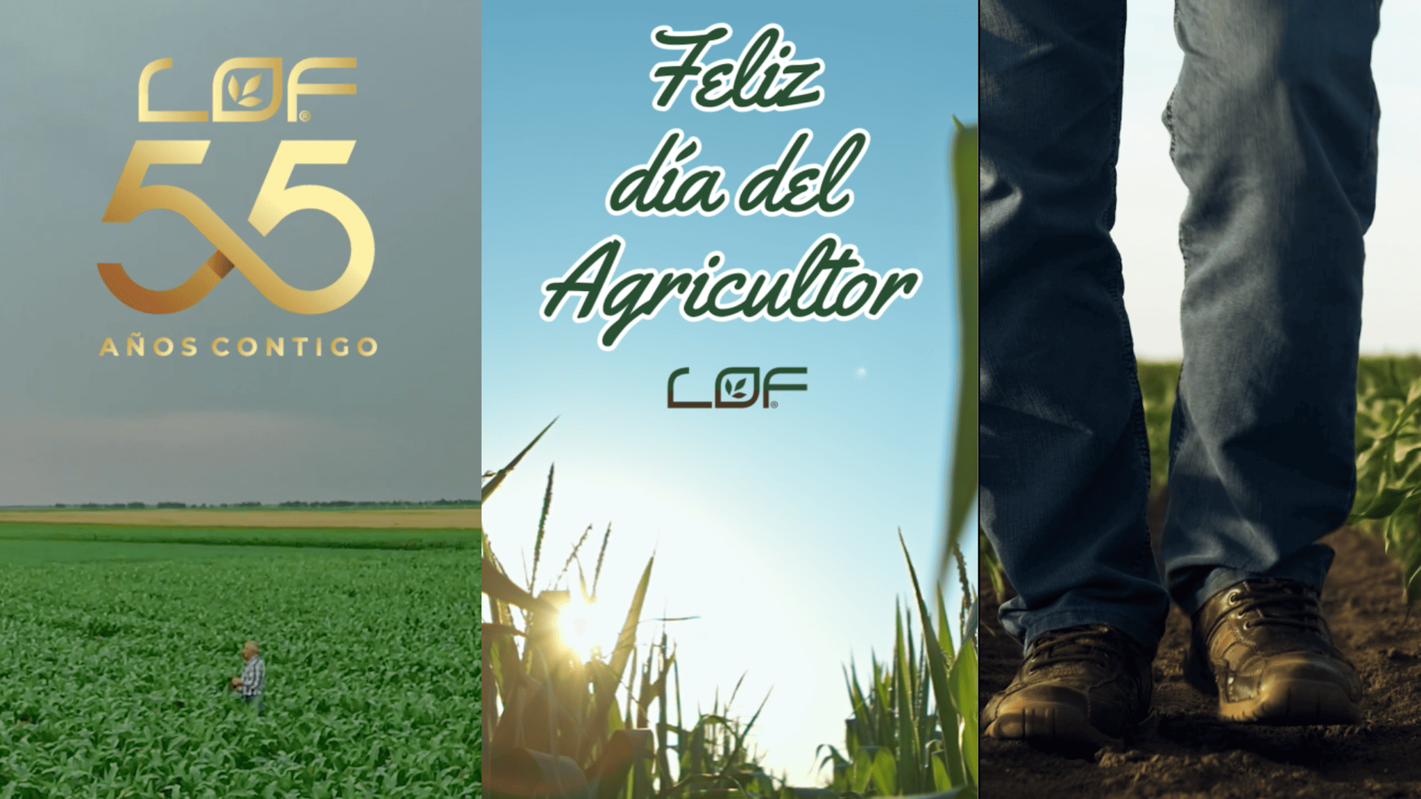 LOF Agro celebra el Día del Agricultor con mensaje de gratitud