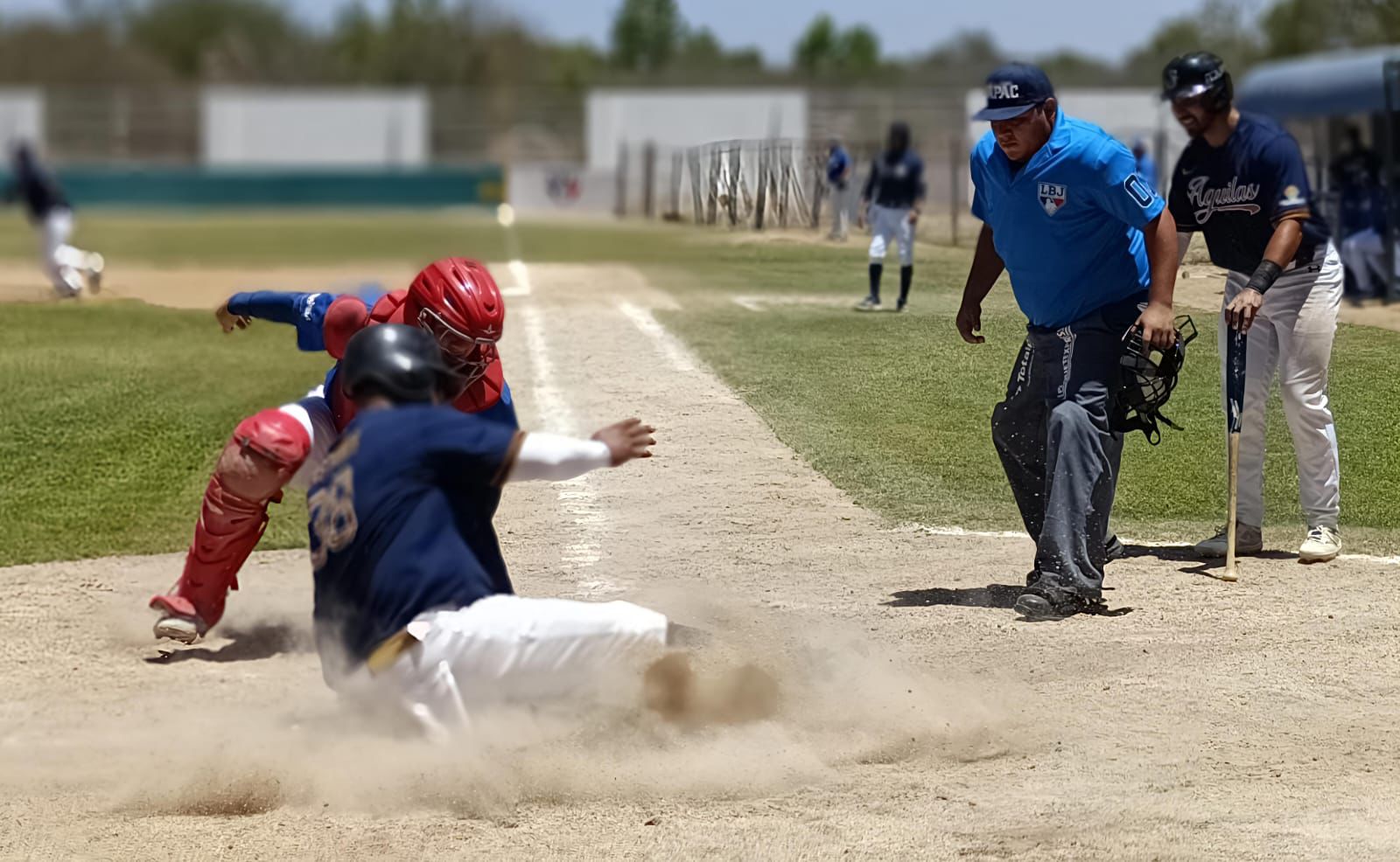 Las Águilas de la UAS siguen en pleno ascenso