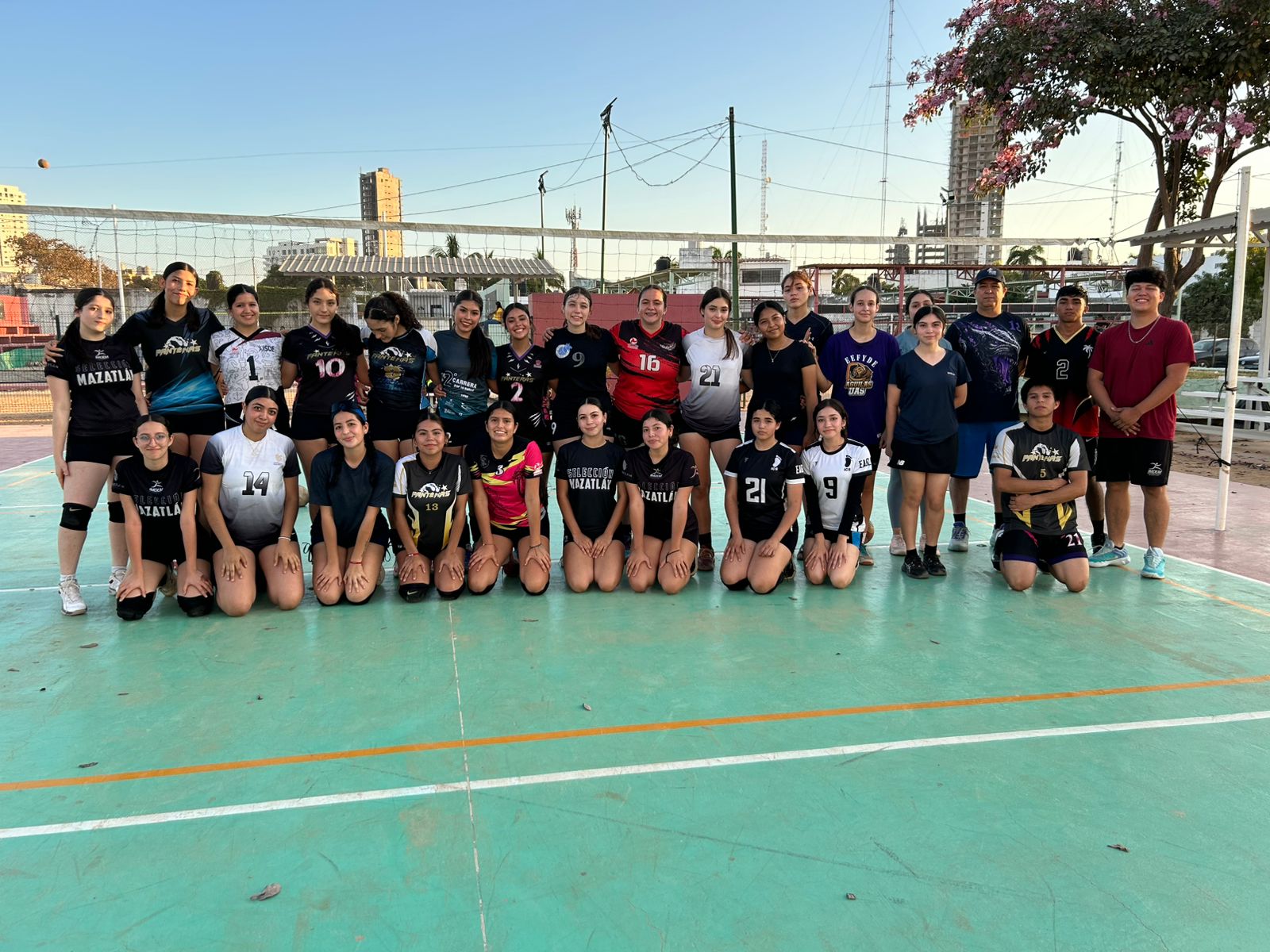 Leonas de Mazatlán