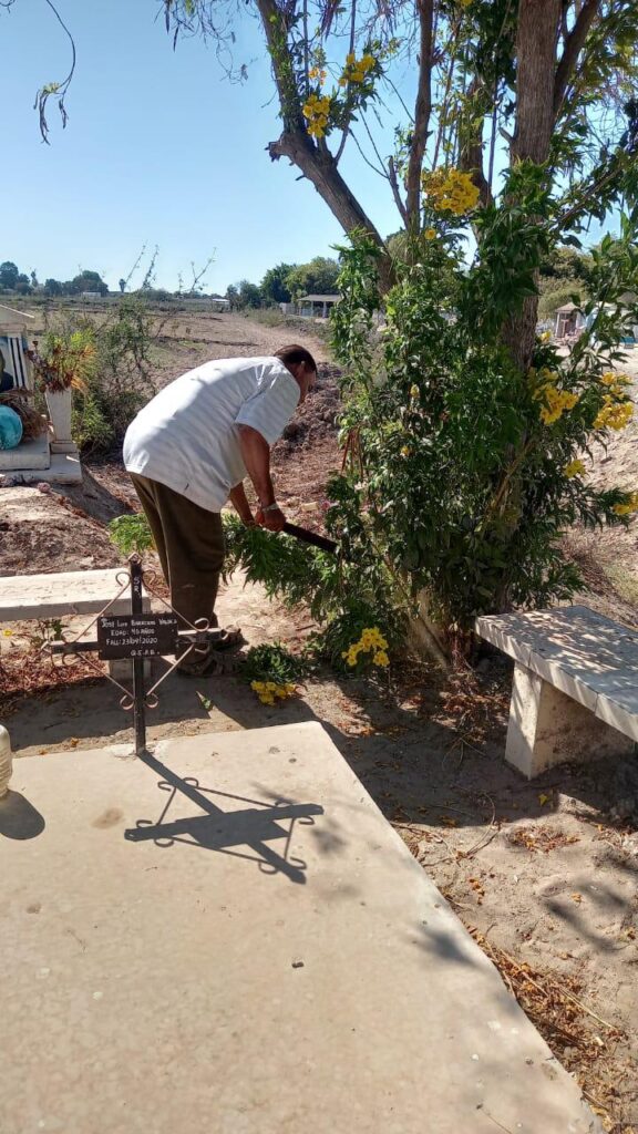 Así avanza la limpieza de los panteones en el municipio de Ahome