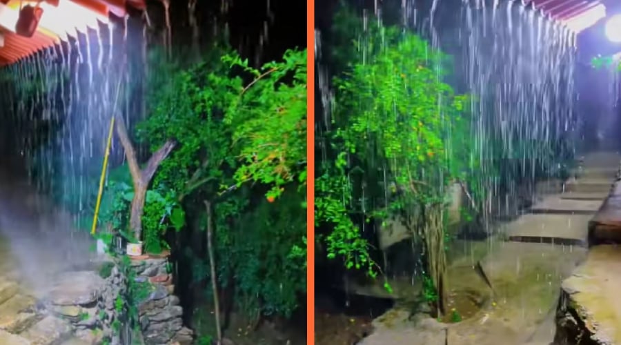 Primera lluvia en la sierra de Badiraguato.