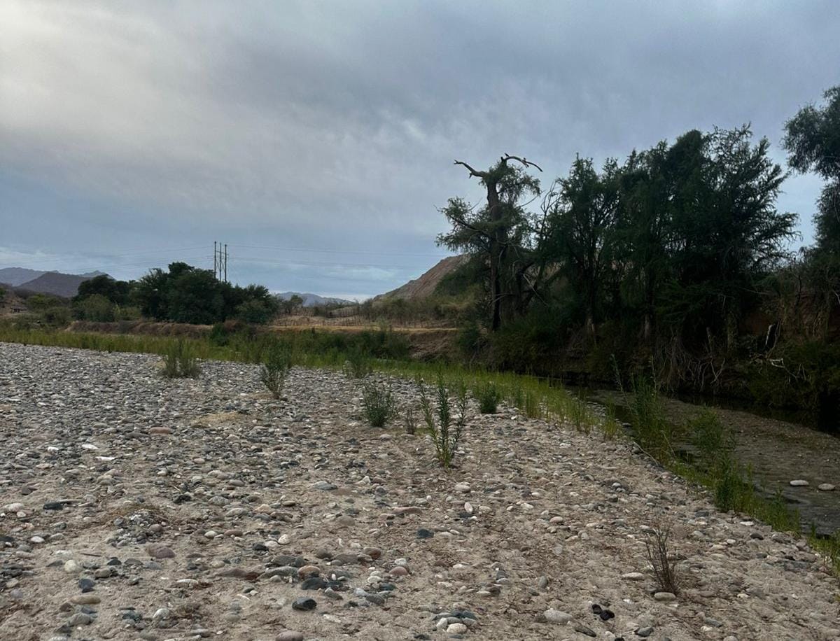 Localizan asesinado en Choix
